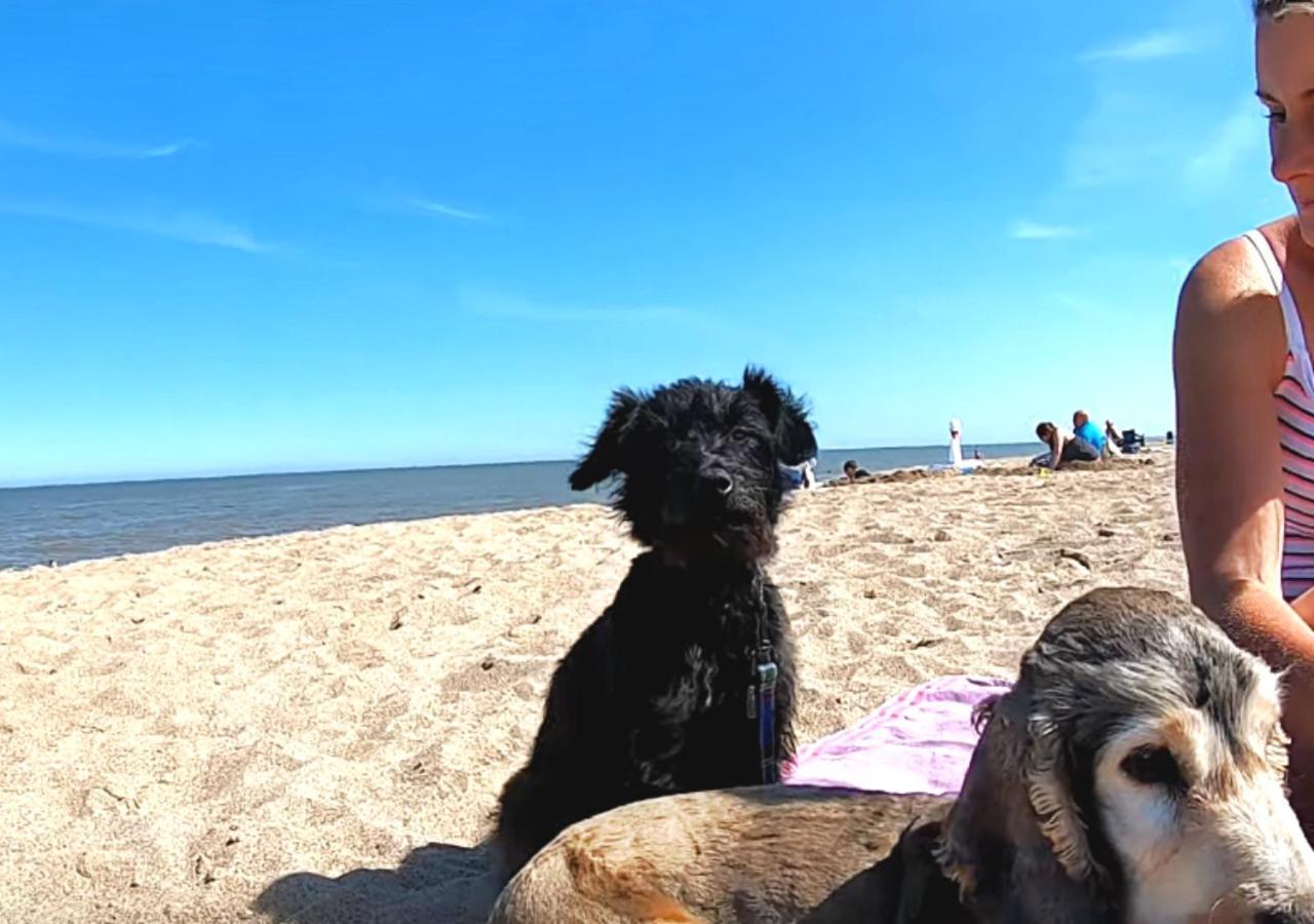 Romantic Lakeside Cottage By The Beach! With Super Cosy Log Burner! The Perfect Escape To Your Home From Home By The Sea! So Relaxing - You Won'T Want To Leave! Pet Friendly! Mablethorpe Esterno foto