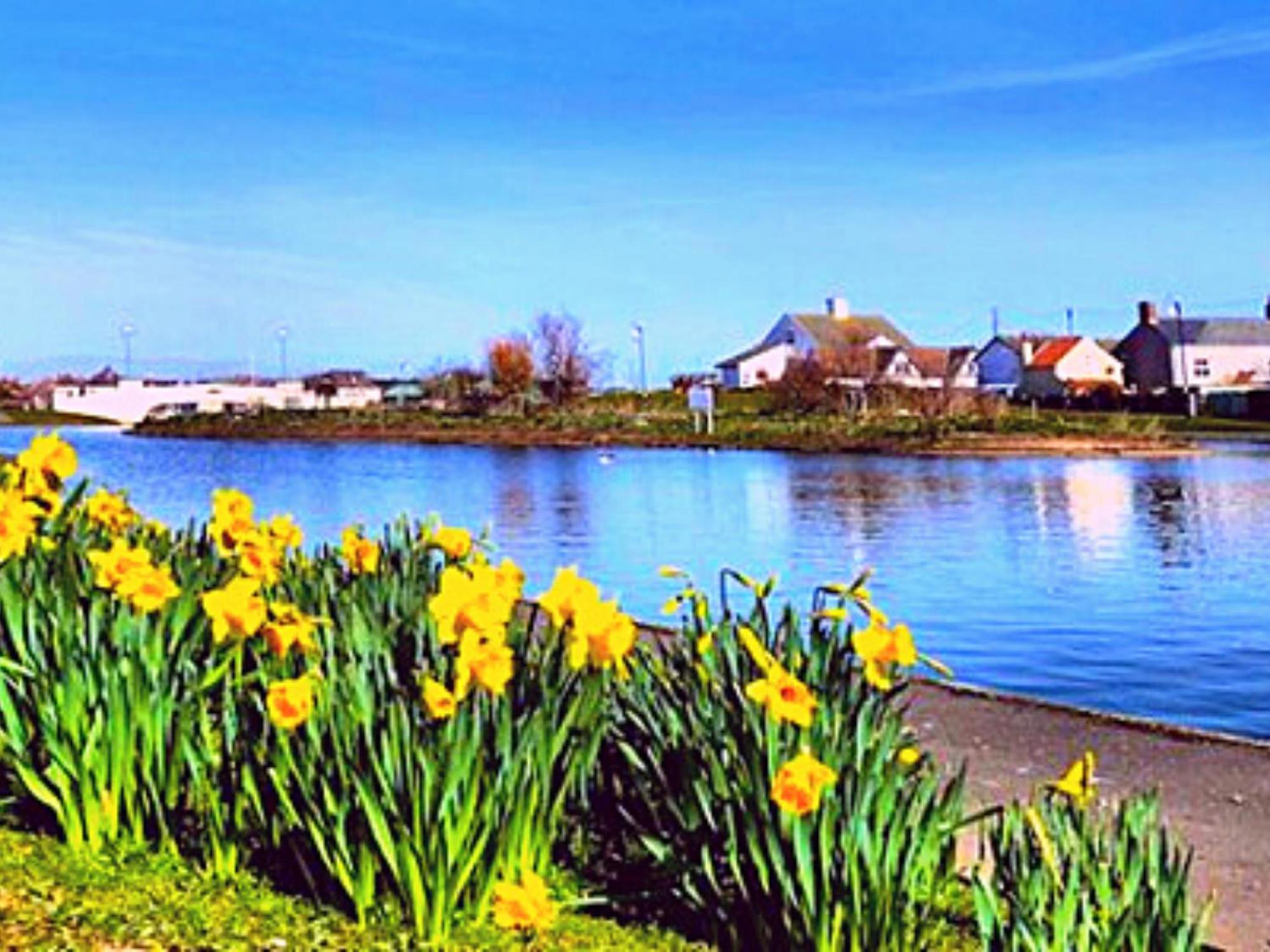 Romantic Lakeside Cottage By The Beach! With Super Cosy Log Burner! The Perfect Escape To Your Home From Home By The Sea! So Relaxing - You Won'T Want To Leave! Pet Friendly! Mablethorpe Esterno foto